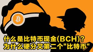 什么是比特币现金(BCH)？为什么要创建(硬分叉)第二个"比特币"