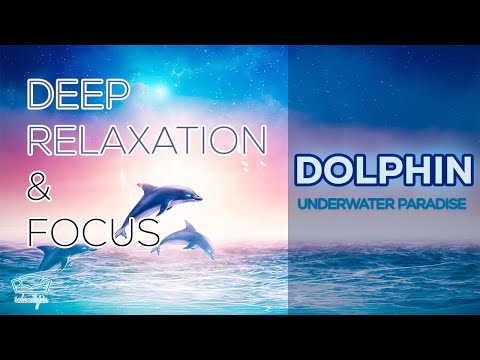 Dolphin Underwater Paradise: Stunning Footage and Soothing Music for Relaxation and Meditation