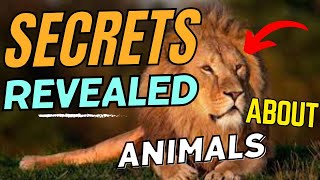 "The Hidden Secrets of Animal Kingdom Revealed"😱