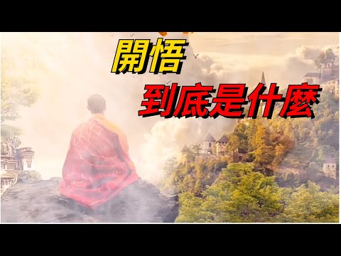 開悟到底是什麼【小白國學世界】#國學 #文化 #生活 #佛學 #禪悟人生