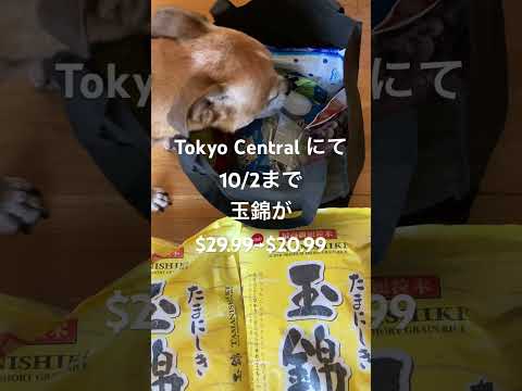 玉錦がお買い得！#tokyocentral #japaneserice