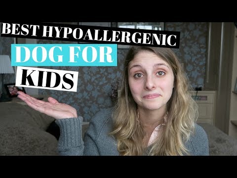 BEST HYPOALLERGENIC DOGS FOR KIDS