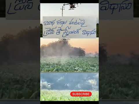 డ్రోన్ తో స్ప్రేయింగ్ విధానం... ✍🏻#dronespray #dronevideo #dronesprayagricultural #telugu