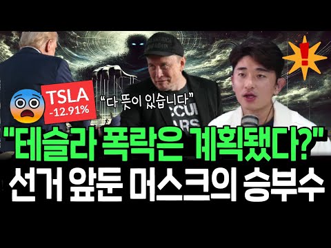 로보택시 쇼크는 의도된 것? 테슬라 폭락은 기회일까