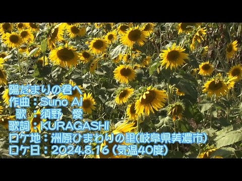 約２万本のひまわりが咲き誇る！洲原ひまわりの里（2024.08.16 )【岐阜県美濃市】