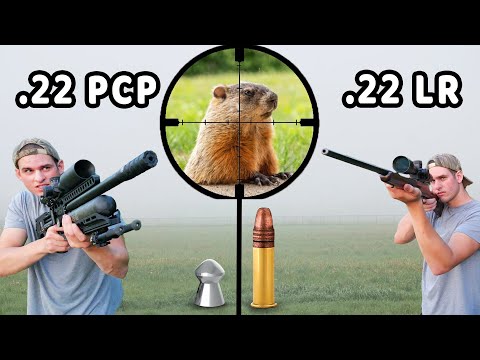 .22 Air Rifle Vs .22LR Hunting!