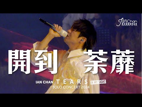 [Multi Angle 4K] Ian Chan "Tears" in my sight solo concert 2024 -《開到荼蘼》