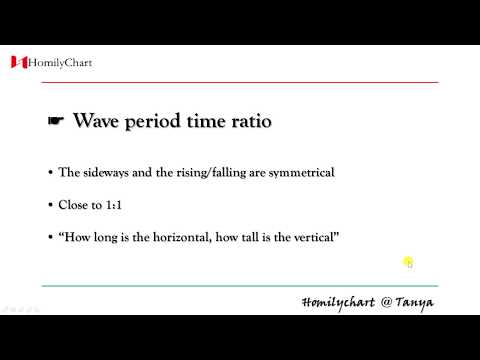 Homily Chart(English) Learning Other Theories #5 Wave Period Time Ratio #TechnicalAnalysis8