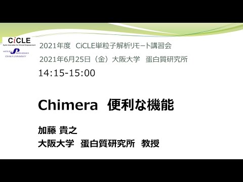 講習会の様子「Chimera 便利な機能」加藤 貴之 (2021/06/25;大阪大学 蛋白質研究所)