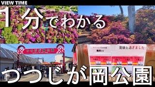 【ピンクの楽園】つつじが岡公園（群馬/館林/観光/旅行/見頃/料金/アクセス/見どころ/駐車場/）