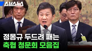 대한축구협회 현안 질의 현장 / 스브스뉴스