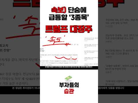 [급등주 추천]  트럼프 정책 황제주 공략타점