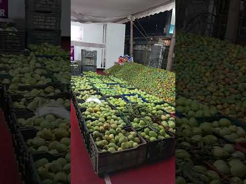 Mango festival || Mango