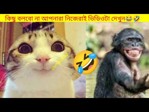 I won't say anything, watch the video for yourself🤣🤣//animal funny lunching \\#funnyvideo #animals