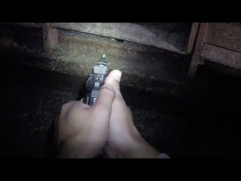 Mouse Hunting in a Chicken House using Crosman Vigilante (Part 3 of 3)