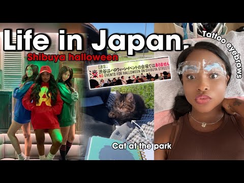 WEEK IN  MY LIFE IN JAPAN Shibuya halloween, tattooed eyebrows, training cats, clubbing in Tokyo