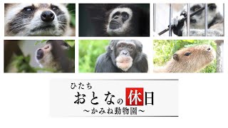 ひたち　おとなの休日　～かみね動物園～