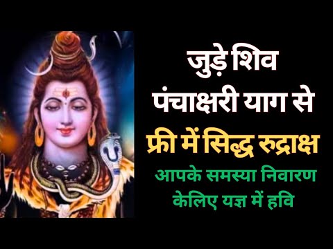 जुड़े सिद्ध पंचाक्षर याग के साथ: मनोकमना पूर्ती शक्तिशाली यज्ञ #shiv(प्राप्त करे सिद्ध रुद्राक्ष)