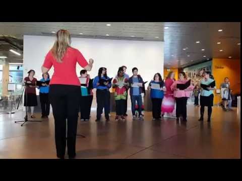 Erin Guinup's Choir Performs at Museum of Glass