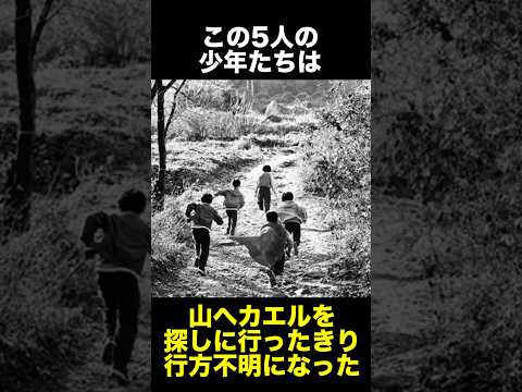 韓国最大の未解決事件『カエル少年事件』に関する雑学　　　　　　　　　　#雑学 #都市伝説 #未解決事件