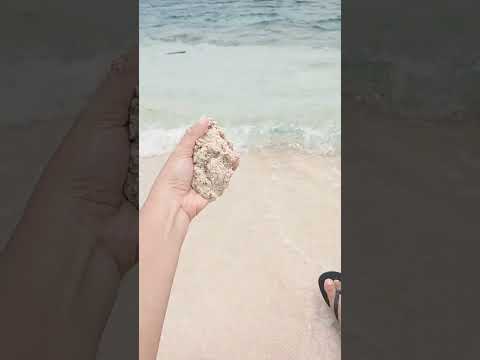 Beach vibes #shortsvideo #beachvibes #whitesandbeaches #contentcreator #shorts #sundayvibes