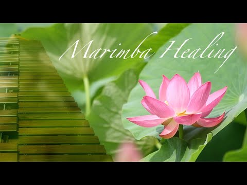 マリンバの響きに包まれる｜ヒーリングミュージック healing music｜癒し 自然音 ｜睡眠｜６０分  ※ヘッドホン・イヤホン・外部スピーカー推奨