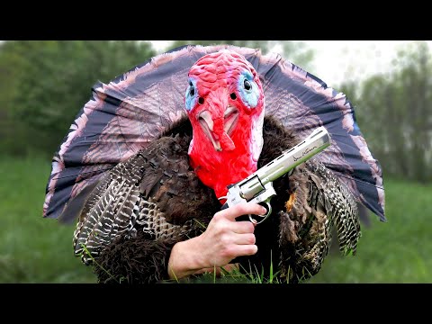 I Hunted Turkeys in a Turkey Costume!