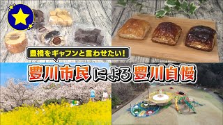 【豊川市】豊橋をギャフンと言わせたい！豊川市民による豊川自慢【愛知あたりまえ】