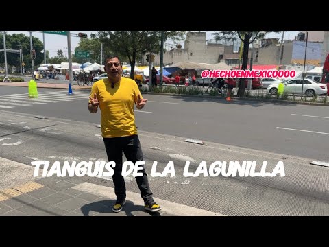 🔴Tianguis la lagunilla Ciudad de México famoso por su comida Gourmet🔴