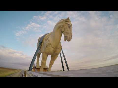 P.F. Chang's Lubbock Horse