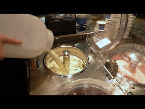 유기농 웰빙 젤라또 아이스크림, 강남 뉴코아 쉘리 / Gelato Yogurt Ice Cream - Korean Street Food