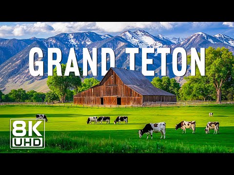 The Magic of Grand Teton 8K UHD – Mountains, Wildlife, and Scenic Views