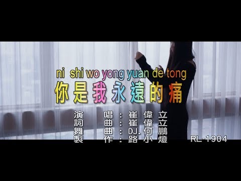 崔偉立 | 你是我永遠的痛 |  (DJ版) | (1080P)KTV