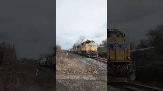 Adventure with Star #starlingrimes #trainsofpnw #short #railroadphotography #unionpacific #oregon