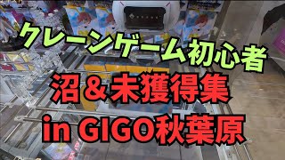 【クレーンゲーム】初心者による沼＆未獲得集！フィギュア一体にいくら貢ぐのか！？≪バニーバニーチャンネル≫