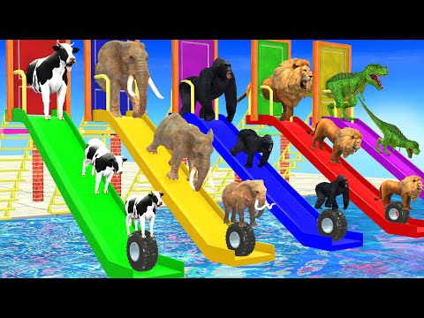 Long Slide Game with Elephant Cow Gorilla Lion T-Rex Choose the Right Door with Tire 3d Animal Game