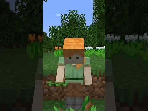 こういう人いますよね #マイクラ #shorts