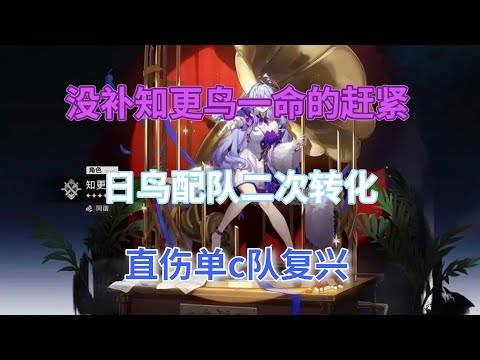 崩坏星穹铁道：没补知更鸟一命的赶紧，星期日知更鸟配队二次转化，直伤单c队复兴