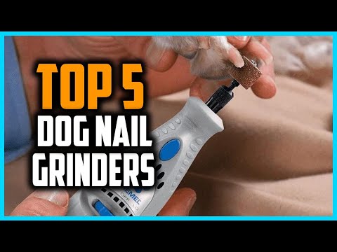 ✅Top 5 Best Dog Nail Grinders in 2025