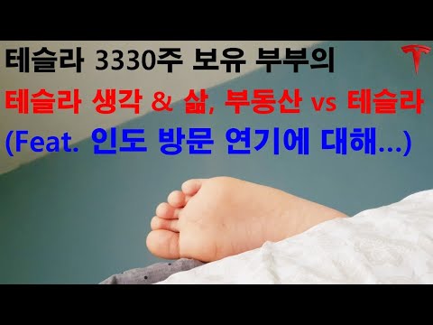 테슬라 생각 & 삶, 부동산 vs 테슬라 (feat. 인도 방문 연기에 대해...)