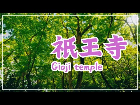 【3min Kyoto】3分で巡る「祇王寺」~Gioji temple, Kyoto Japan~