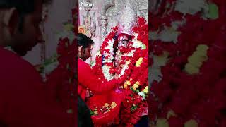 DURING PUJA AT TEMPLE | TARAPITH LIVE| TARAPITH OFFICIAL