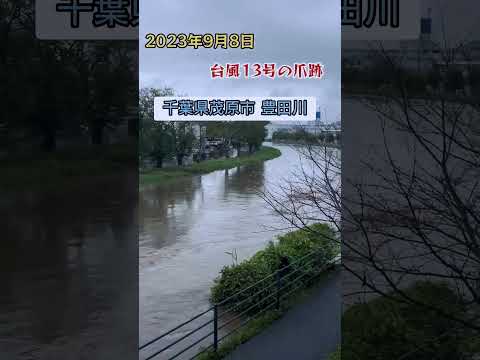 2023年9月8日台風13号(インニョン)千葉県茂原市台風爪跡！工事したのになぁぜなぁぜ？#千葉#自然#災害#冠水