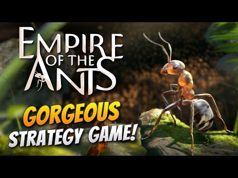 A Beautiful Blend of Strategy and Buggy Role-Playing! | Empire of the Ants