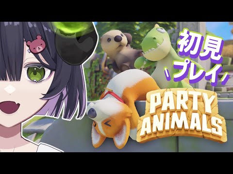 【 Party Animals 】お前、クマアンチか？？【 #泡魔ねふぃ / #Vtuber 】