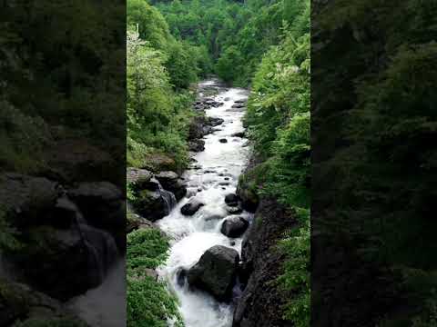 A wonderful nature sceneWater is flowing for the mountains#shorts#shortvideo#sceeWate #chips #video