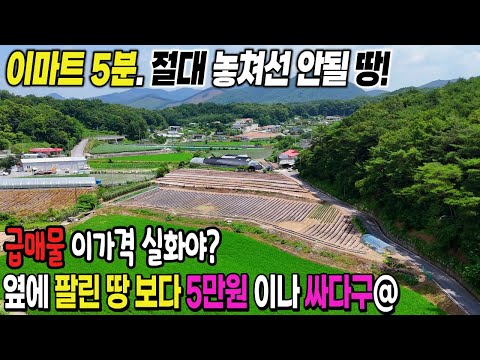 29.🚀급매물땅 확인! 최근 팔린땅보다 싸다구? 이마트5분 남향토지매매 이 가격에 만날 수 없어!" 제천땅집부동산TV