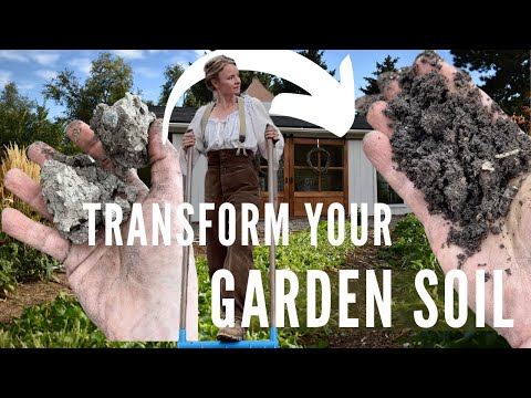 Transforming Garden Soil: COST-SAVING Regenerative Solutions for Healthy Gardens!