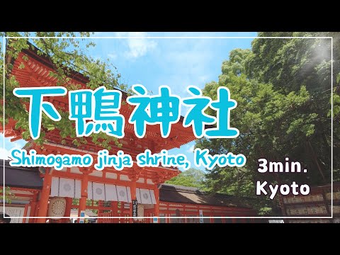 【3min Kyoto】3分で巡る「初夏の下鴨神社」~Shimogamo jinja shrine, Kyoto Japan~