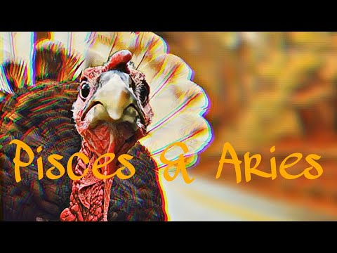 ♓️PISCES DEALING W/ ARIES♈️NEXT 10 DAYS🦃TRYING TO AVOID THE SPIRITUAL PULL TO ONE ANOTHER 2 AVOID A🗼